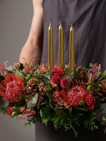 Winter Hearth Poinsettia